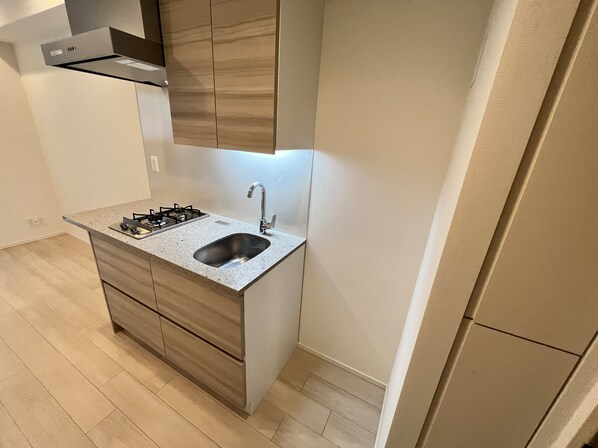 ザ・パークハビオ文京江戸川橋の物件内観写真